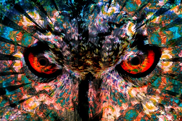 Diode Dreams 22